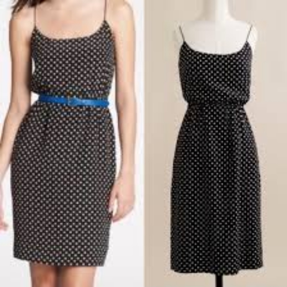 J. Crew Silk Dress - Picture 2 of 6